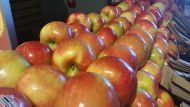 Это будет самый низкий урожай яблок за 10 лет